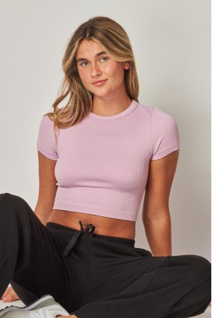 SLT05<br/>Stretchy Ribbed Seamless Crew Neck Crop Top
